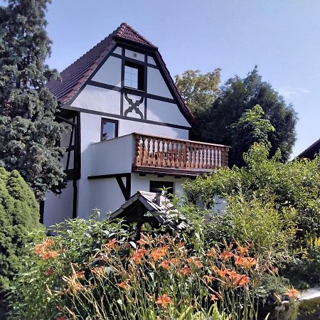 Pusteblume Apartment Groitzsch Exterior photo