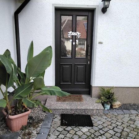 Pusteblume Apartment Groitzsch Exterior photo