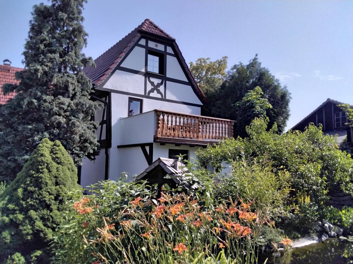 Pusteblume Apartment Groitzsch Exterior photo